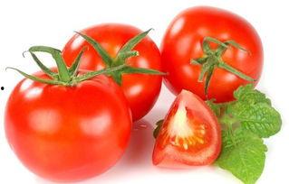 穿书去娱乐圈吃瓜番茄