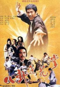 电影《八卦莲花掌》