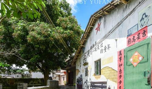 云浮网红村花,揭秘乡村振兴中的“花漾”奇迹